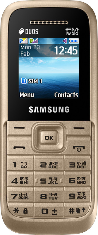 SAMSUNG Guru FM Plus(Gold)