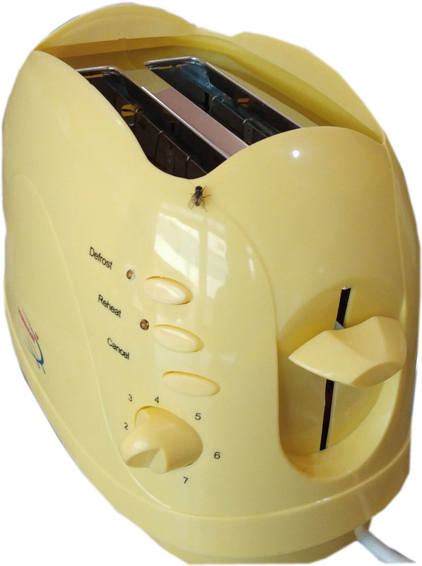 dcs 2 slice pop up toaster 0512 750 W Pop Up Toaster(yellow) dcs 2 slice pop up toaster 0512 750 W Pop Up Toaster(yellow)