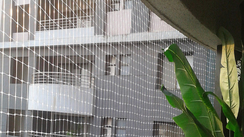 EASYSHOPPINGBAZAAR ANTI BIRD NET 7 FOOT X 3 FOOT WITH STRONG NYLON STRINGS WHITE IN COLOUR Camping Net(White)