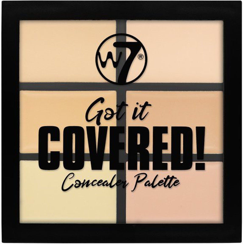 w7 cosmetics Concealer Palette Concealer(Got It Covered!, 6 g)