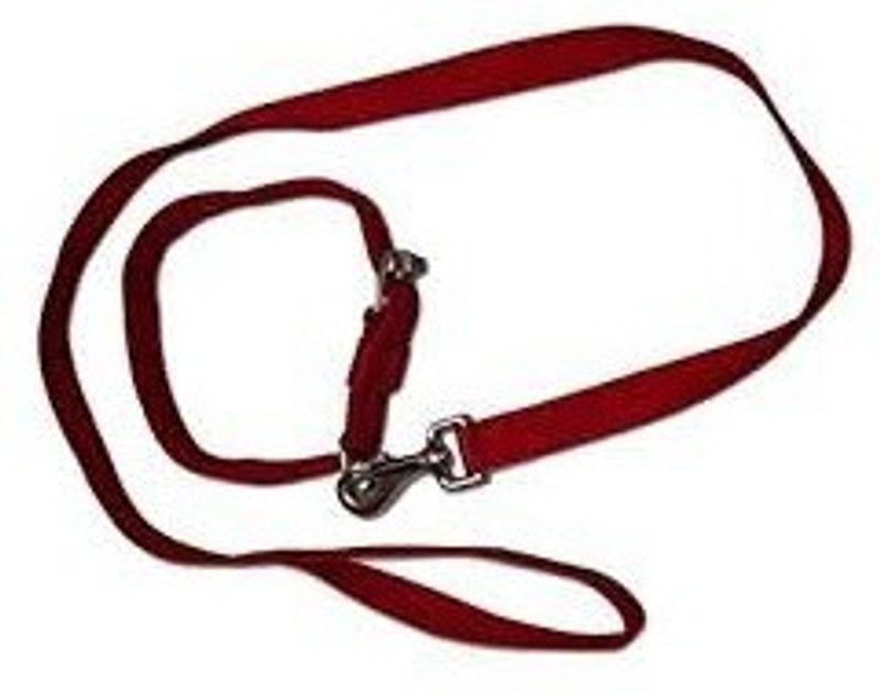 shalimar pets High Quality Soft Nylon 0.5 Inchi Puppy and Cats Colar And Leash Set Dog Everyday Collar(Extra Small, Multicolor)