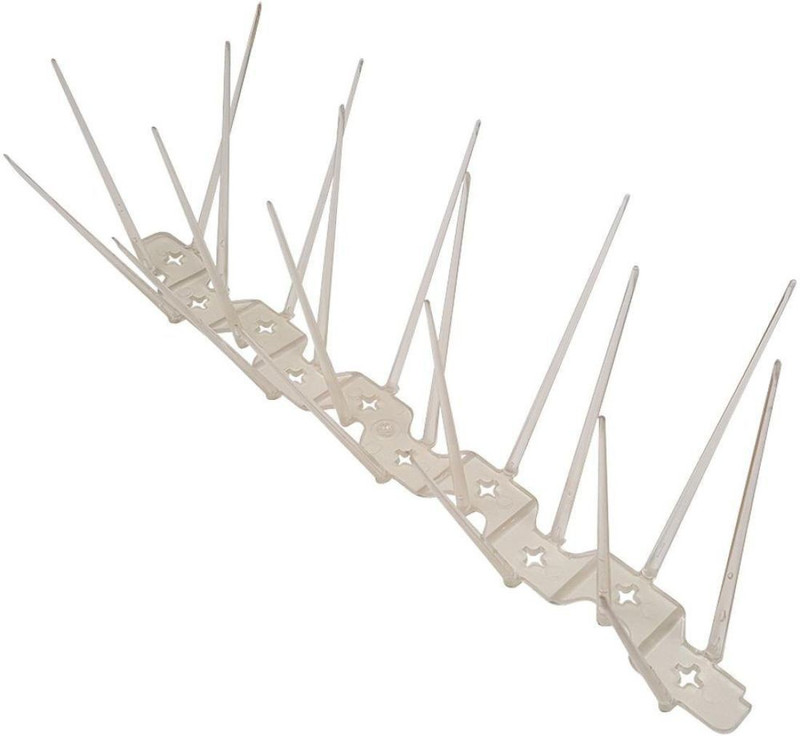 jiya associates Bird Spike