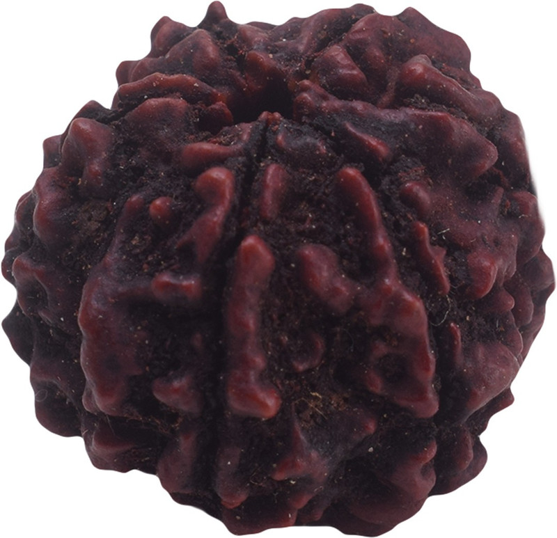 settiyar kadai 6 Mukhi Rudraksha, Six Face Radraksha, Face Radraksha, Original Rudraksha Wood