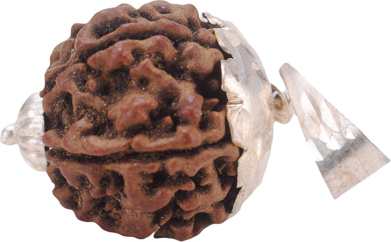 settiyar kadai 5 Mukhi Rudraksha, Five Face Radraksha, 5 Face Radraksha, Original Rudraksha Wood