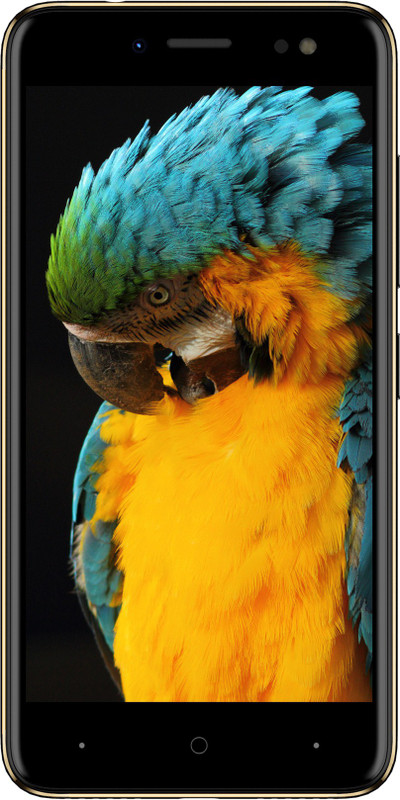 Itel Selfiepro S41 (Obsidian Black, 16 GB)(3 GB RAM)
