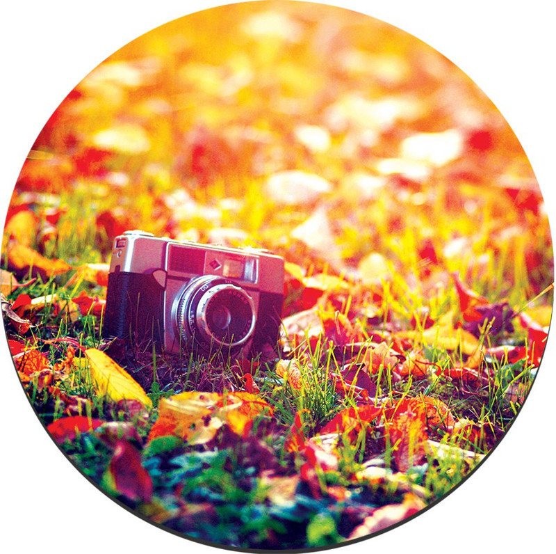 CRAZYINK MPADROUND-Mini Cam on Autumn Leaves Mousepad(Multicolor)