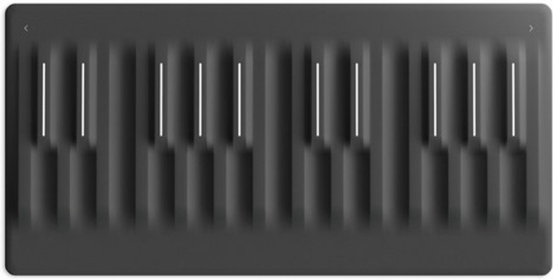 roli BLOCKS-Seaboard Seaboard BLOCK Digital Portable Keyboard(25 Keys)