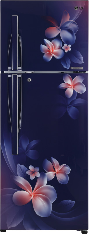 LG 260 L Frost Free Double Door 4 Star Convertible Refrigerator(Blue Plumeria, GL-T292RBPN) LG 260 L Frost Free Double Door 4 Star Convertible Refrigerator(Blue Plumeria, GL-T292RBPN)