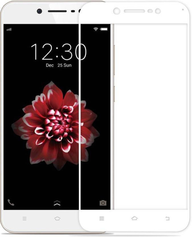 vaso Tempered Glass Guard for VIVO Y66(Pack of 1)