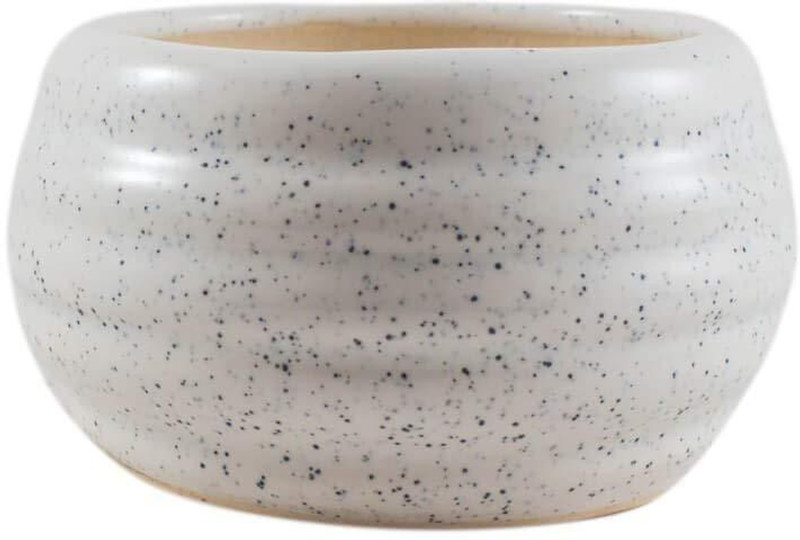 lasaki Dholak White Ceramic Handmade Planter Or Pot/Plant Pot/Succulent Planter Pot/Container/Flower Pot/Pot/Gamla/Gamle Plant Container(Ceramic, External Height - 6.5 cm)