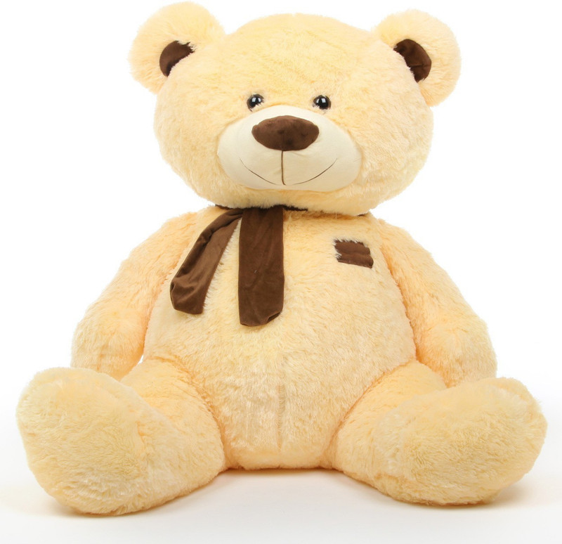 Teddy shop bear description