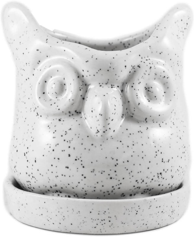 lasaki Owl White with Tray Ceramic Handmade Succulent Flower Planter Or Pot/Planter Plant Container(Ceramic, External Height - 10.5 cm)