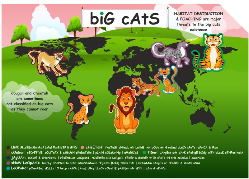 Science Poster for Kids - Big Cats (Pink)- Size A3 - 18 X16.5 inches Paper Print(16.5 inch X 18 inch, Rolled)