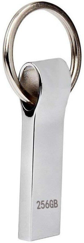 pamworld pendriv3 256 GB Pen Drive(Silver)
