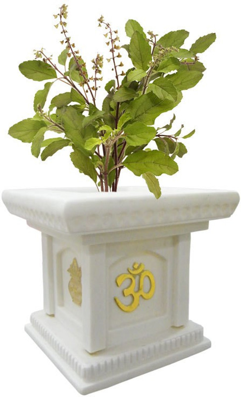 yuccabe italia Plant Container(Marble, External Height - 30 cm)