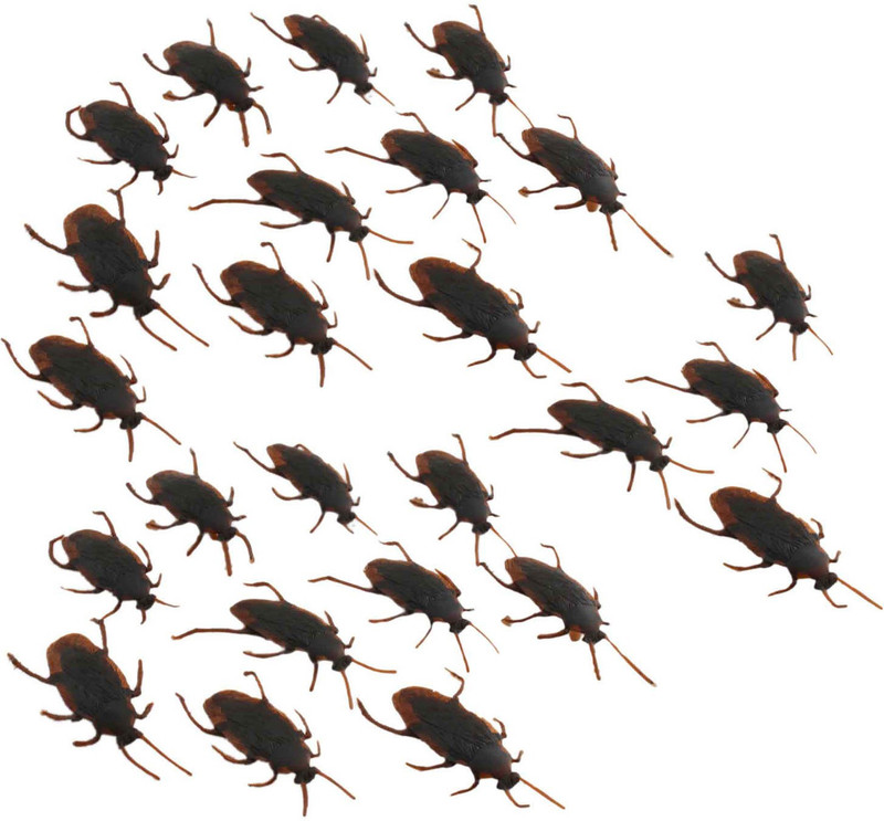 Shoppernation CFNS 05 Cockroach Gag Toy