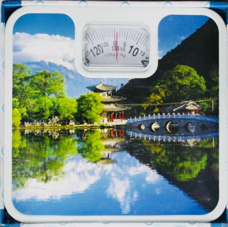 Zeom 7104 Personal Analog Weighing Scale 120 Kg Weighing Scale(Multicolor)