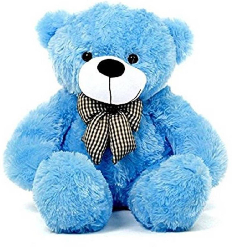 Teddy blue colour store