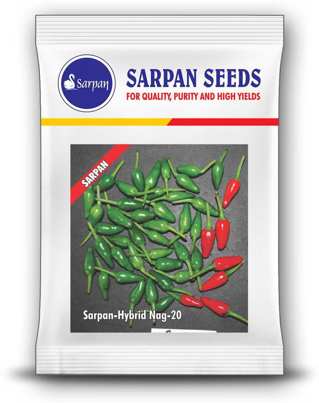 sarpan hybrid seeds CHILLI HOT PEPPER Seed(25 per packet)