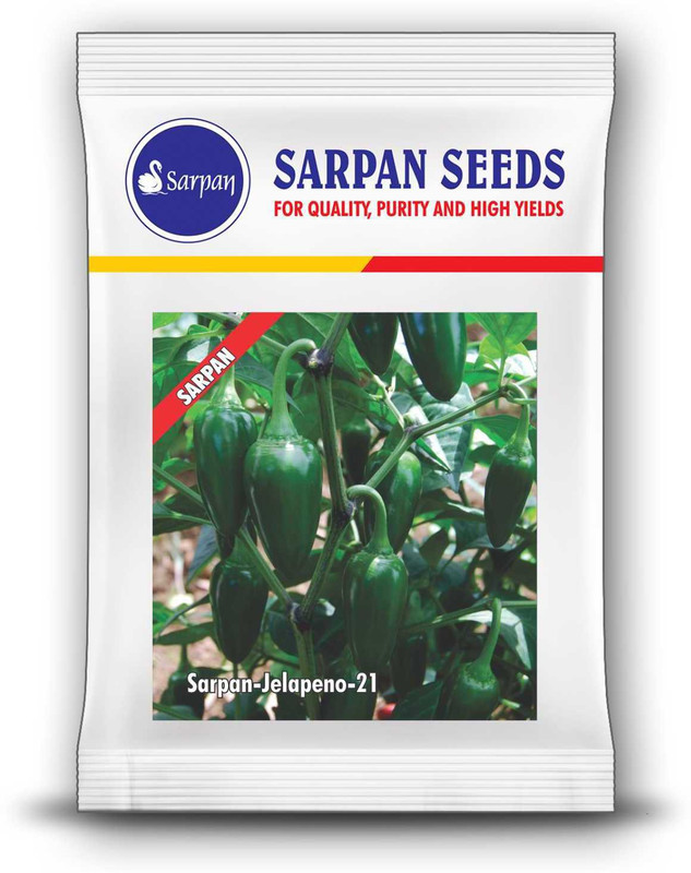 sarpan hybrid seeds CHILLI HOT PEPPER Seed(25 per packet)
