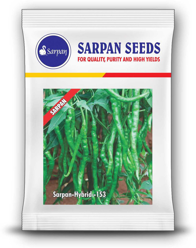 sarpan hybrid seeds CHILLI SEEDS Seed(25 per packet)