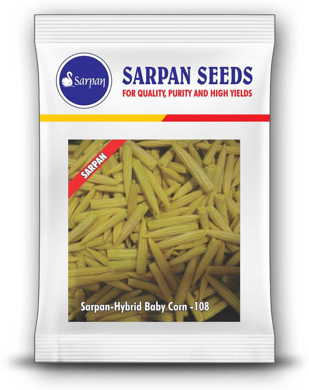 sarpan hybrid seeds BABY CORN SEEDS Seed(25 per packet)