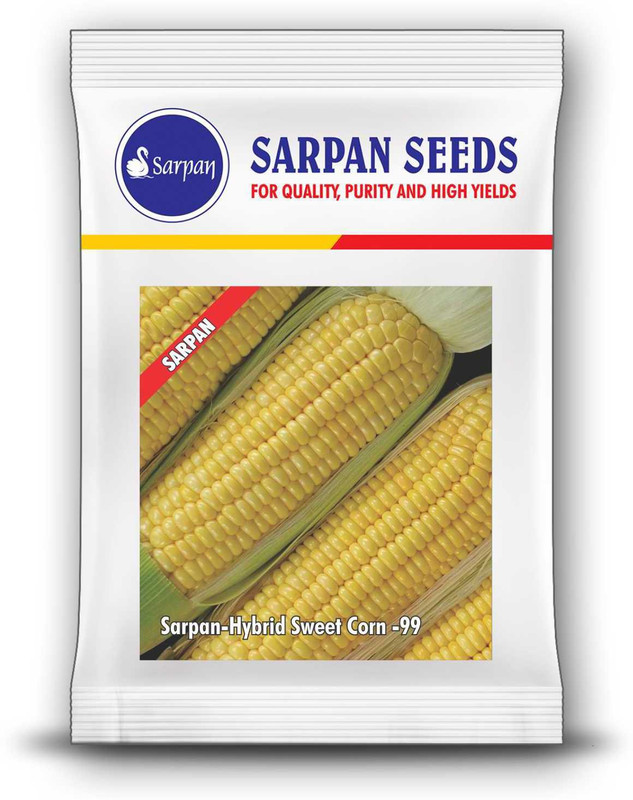 sarpan hybrid seeds SWEET CORN SEEDS Seed(25 per packet)