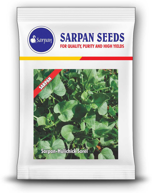 sarpan hybrid seeds HULICHICK SOREL Seed(25 per packet)