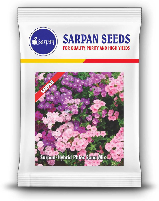 sarpan hybrid seeds PHLOX FLOWER SEEDS Seed(25 per packet)