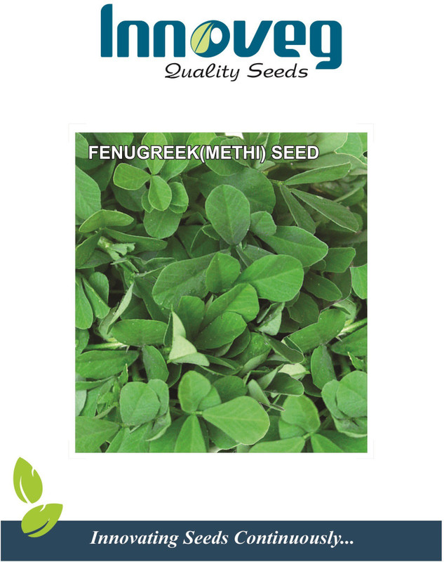 innoveg methi, jaora metha, seed, beej, fenugreek seeds, seeds for sowing purpose Seed(15000 per packet)