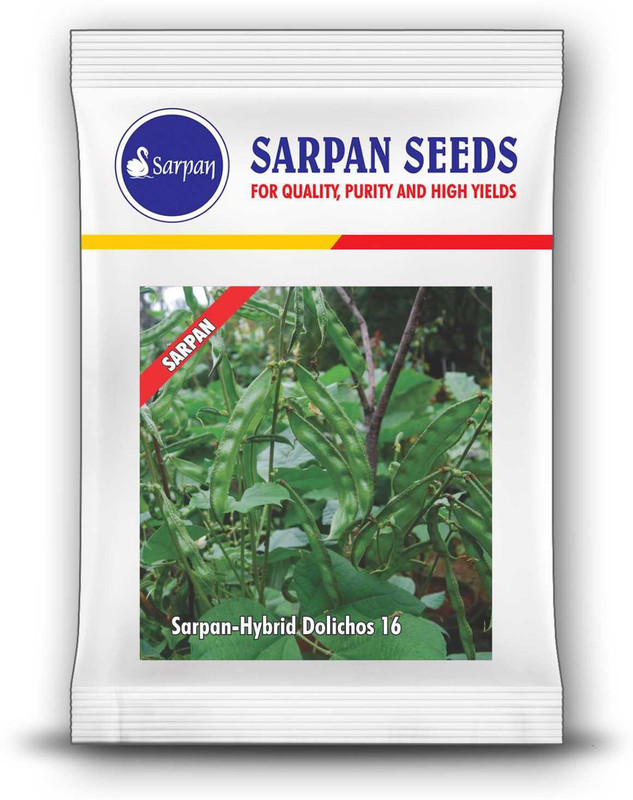 sarpan hybrid seeds DOLICHOS SEEDS Seed(25 per packet)