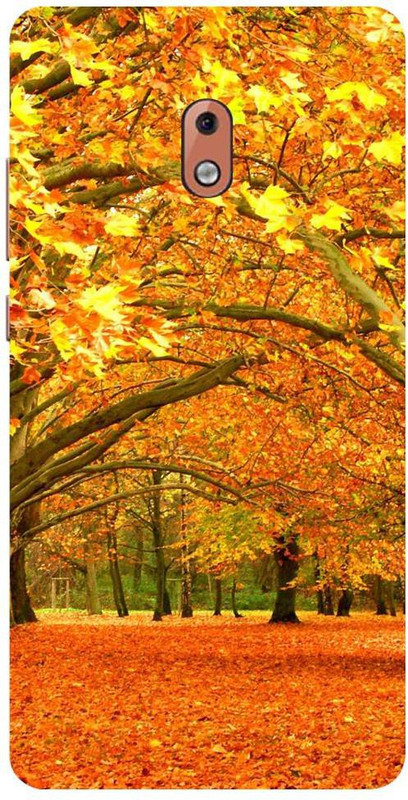 MIG Back Cover for Nokia 2.1(Multicolor, Dual Protection, Silicon)