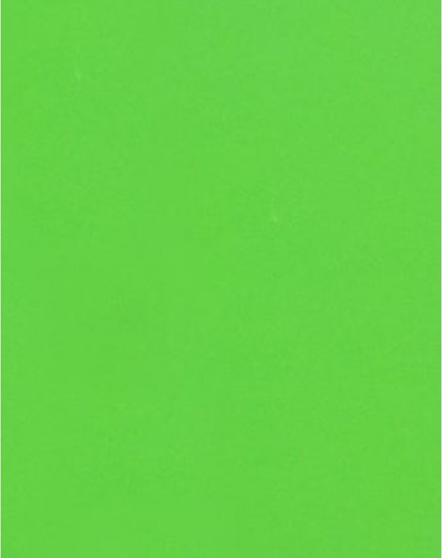craftsneed card stock plain 35x28x.5 cm Multipurpose Paper(Set of 1, parrot green)