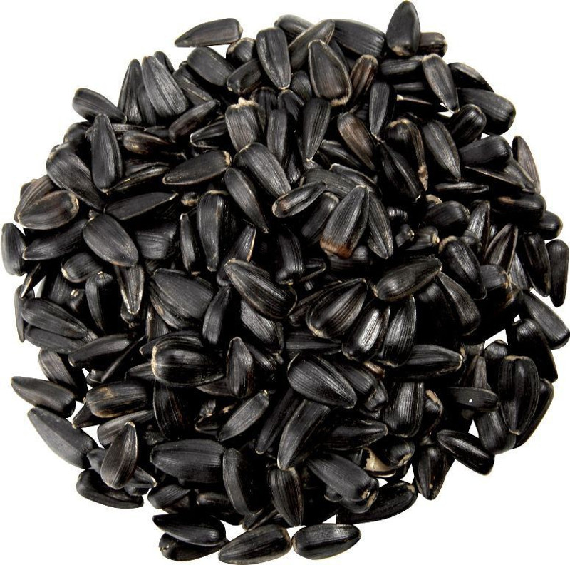 Birds' Park Sun Flower Seed Natural Fresh Fruit 1 kg Dry Young, Adult Bird Food