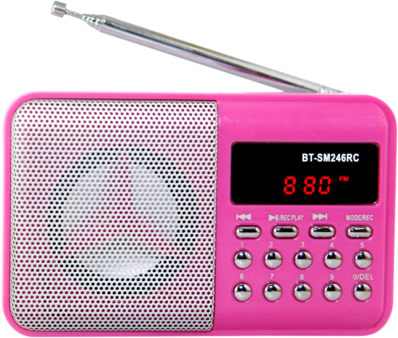 OYD BT- SM246 Fm Radio with Digital Display support recording , USB Pendrive, Aux in FM Radio(Pink)