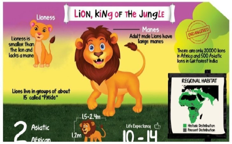 Animal Chart for Kids - Lion Poster - Size A3- 11.7 X 16.5 inches Paper Print(16.5 inch X 11.7 inch, Rolled)