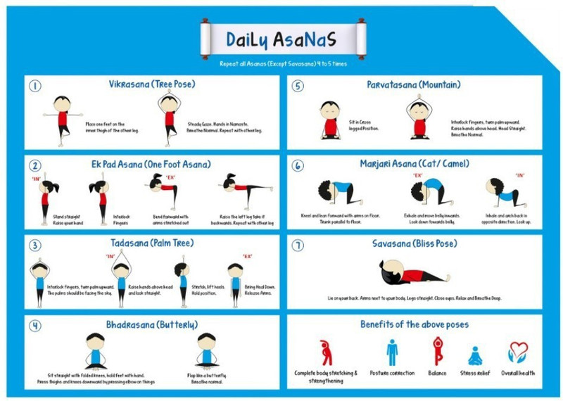Daily Asanas For All Size A3 11 7 X Buy Online In Cayman Islands At Desertcart