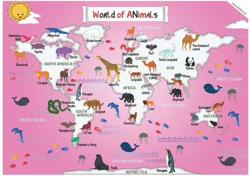 Cute World Map With Animals Size A3 Buy Online In Cambodia At Desertcart
