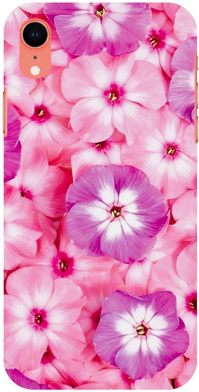 Rangde Back Cover For Apple Iphone Xr Pink Desertcart Seychelles