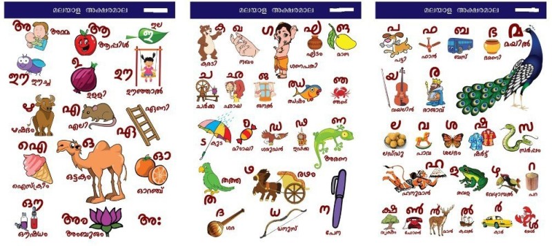 Malayalam Alphabet Posters For Kids Size A3 11 7 X 16 5 Inches Paper Print 16 5 Inch X 11 6 Inch Rolled Buy Online In Japan At Desertcart Jp Productid 143312784