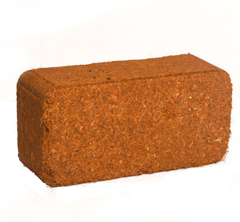 Green Tree Cocopeat Orgainc Coir Brick 2x600g Expands to 11kgs (1200kgs) Manure(1.2 kg, Cake)