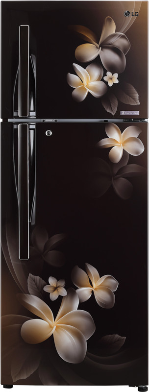 LG 284 L Frost Free Double Door 4 Star Refrigerator(Hazel Plumeria, GL-T302RHPN) LG 284 L Frost Free Double Door 4 Star Refrigerator(Hazel Plumeria, GL-T302RHPN)