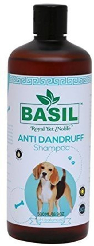 500-3084a-basil-original-imafafsysqydmdhk.jpeg
