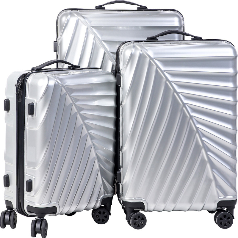 CARRY TRIP Cabin Suitcase, Check-in Suitcase, Suitcase Combo(Silver)