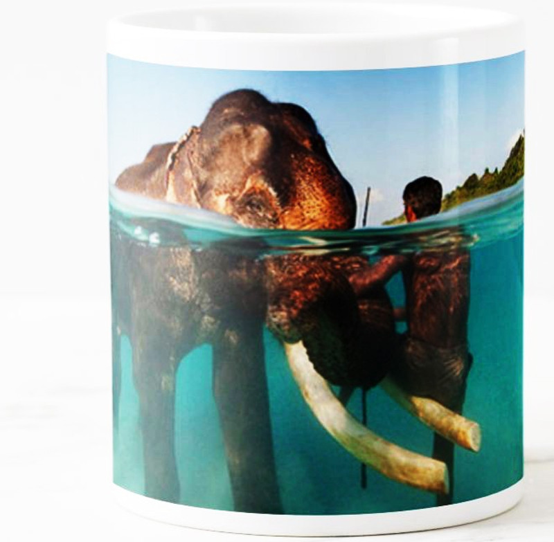 dashing arts elephant coffee mug Ceramic Mug(350 ml)