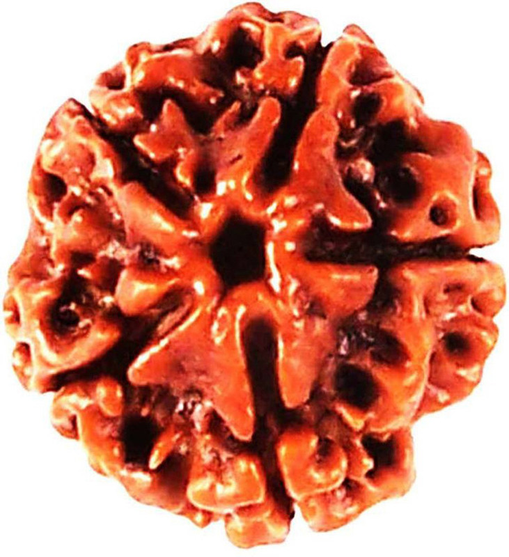 siva namo 5 Mukhi/Faced (Lab Certified) Rudraksha Pendant, (India) Originated, 100% Original & Natural Rudrakash Wood Pendant