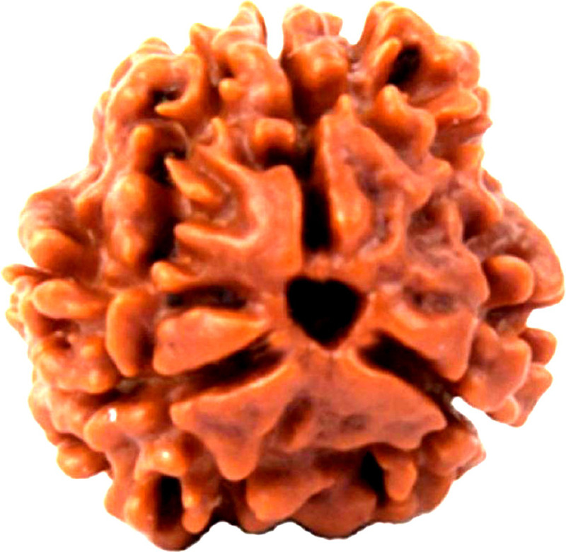 siva namo 3 Mukhi/Faced (Lab Certified) Rudraksha Pendant, (India) Originated, 100% Original & Natural Rudrakash Wood Pendant