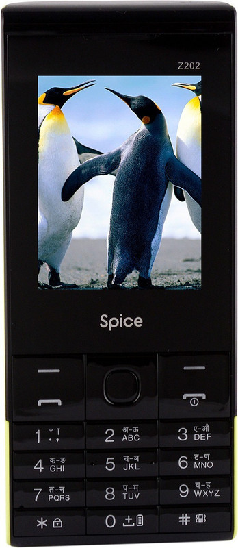 Spice Endura(Black & Green)