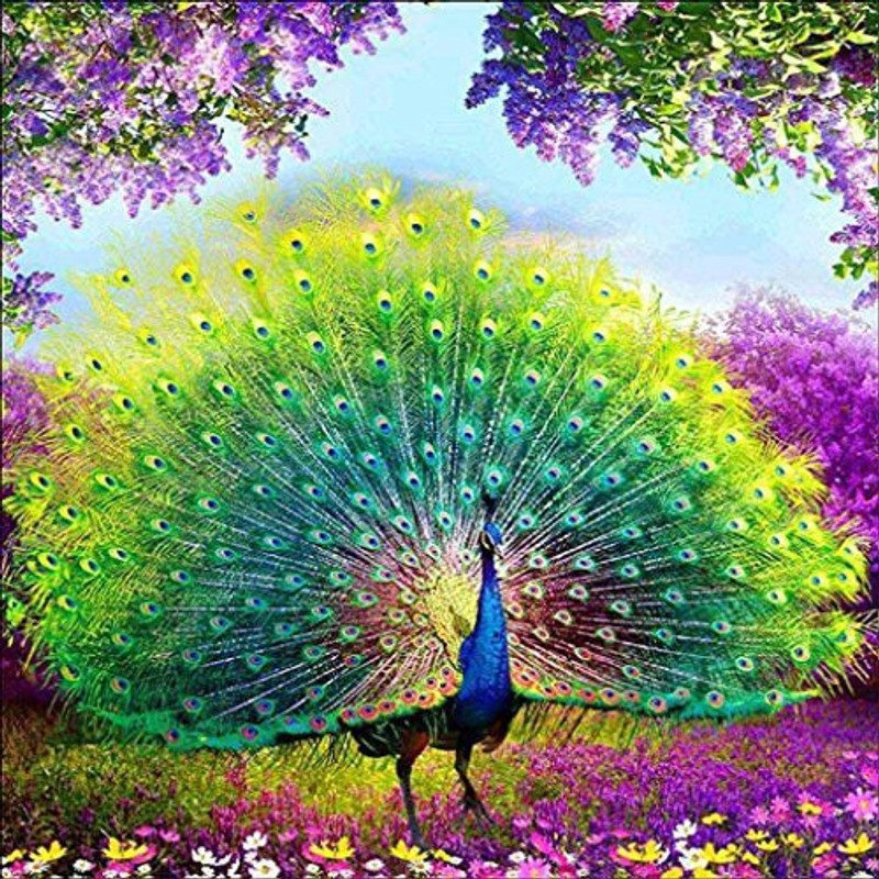 Lavany Peacock 5D Diamond Painting Kit, Full Drill Clearance DIY Cross Stitch 5D Paintings Crystal Rhinestone Embroidery Cross-S