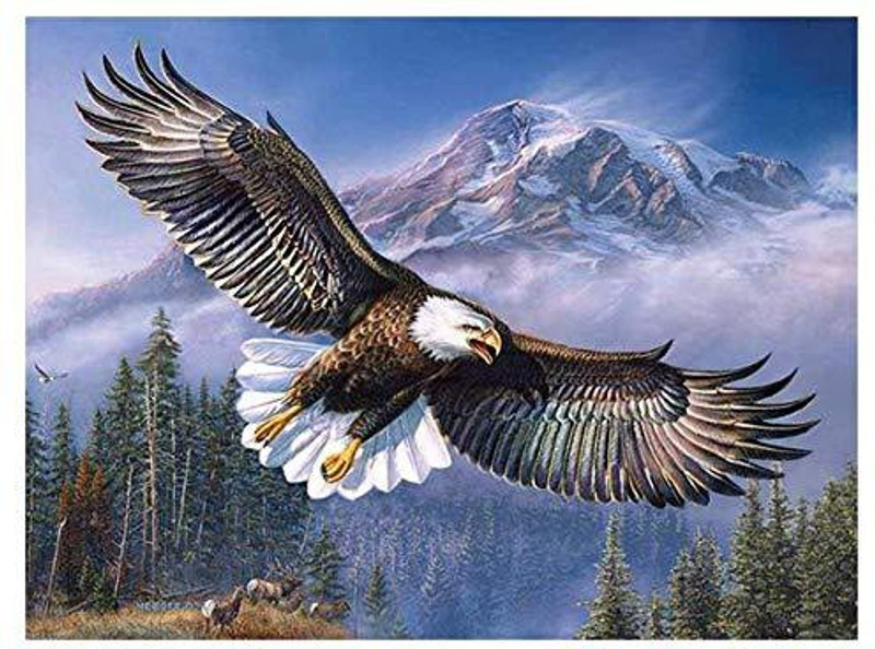 ttnight 5D Diamond Embroidery Painting Full Drill Mosaic Cross Stitch DIY War Horse Painting (Eagle)